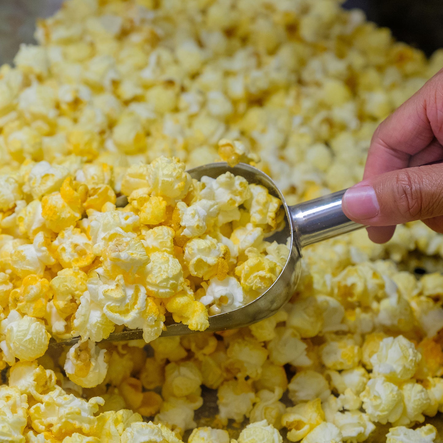 Popcorn Scoop and Seasoning Shaker Set